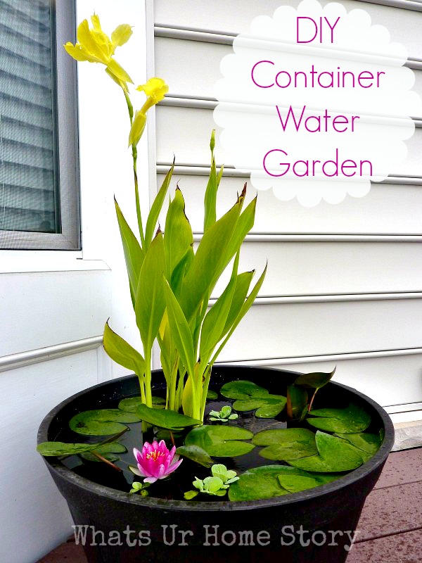https://www.whatsurhomestory.com/wp-content/uploads/2012/02/DIY-Water-Garden1.jpg