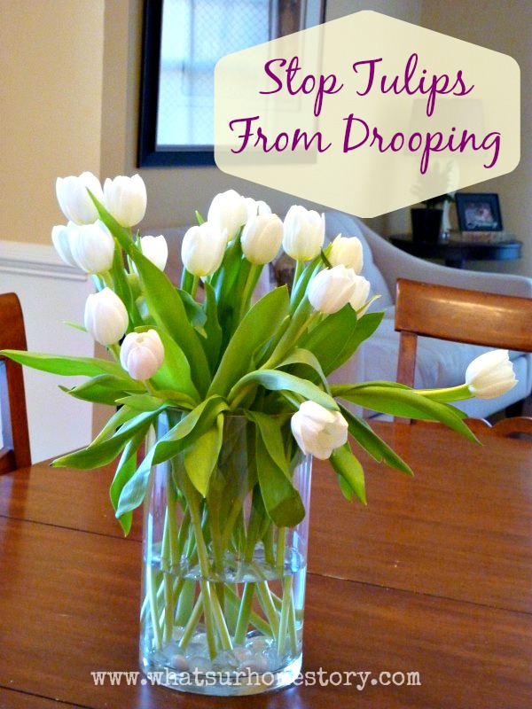 I'm a florist – how to prep your flowers and stop them from drooping FOR  FREE