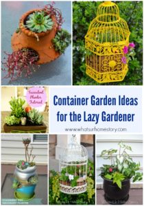 6 Easy Container Garden Ideas for the Lazy Gardener | Whats Ur Home Story