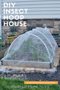 DIY Insect Hoop House or Cabbage Tunnel | Whats Ur Home Story