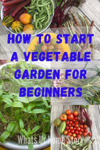 Starting A Vegetable Garden For Beginners | Whats Ur Home Story